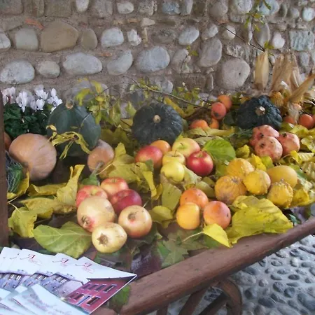 Bed & Breakfast Corte Alfier 3*